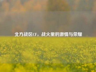 北方战区CF，战火里的激情与荣耀