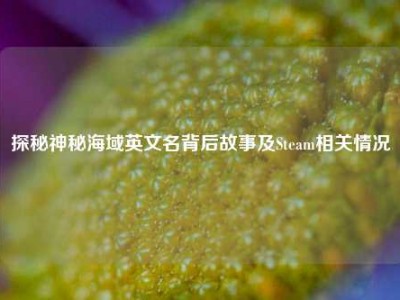 探秘神秘海域英文名背后故事及Steam相关情况