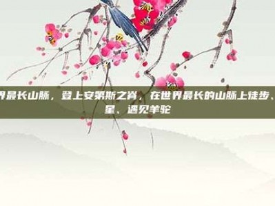 世界最长山脉，登上安第斯之脊，在世界最长的山脉上徒步、观星、遇见羊驼