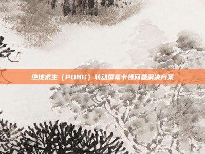 绝地求生（PUBG）转动屏幕卡顿问题解决方案