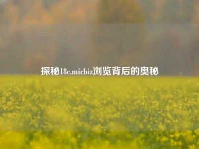 探秘18c.micbiz浏览背后的奥秘