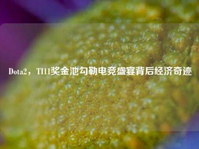 Dota2，TI11奖金池勾勒电竞盛宴背后经济奇迹