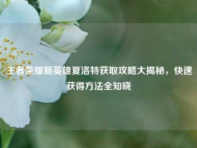 王者荣耀新英雄夏洛特获取攻略大揭秘，快速获得方法全知晓