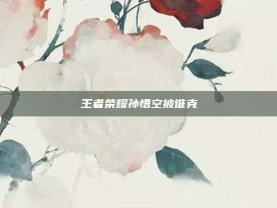王者荣耀孙悟空被谁克
