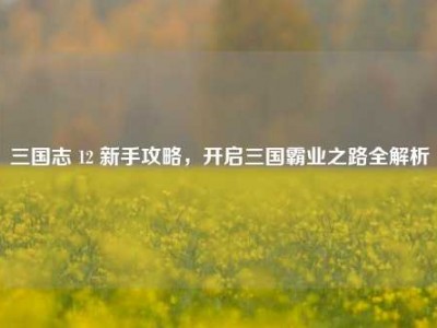 三国志 12 新手攻略，开启三国霸业之路全解析