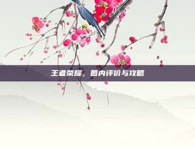 王者荣耀，圈内评价与攻略