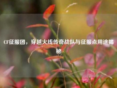 CF征服团，穿越火线传奇战队与征服点用途揭秘