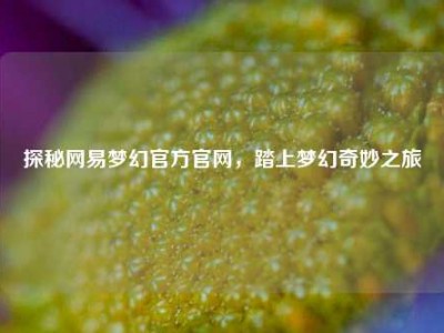 探秘网易梦幻官方官网，踏上梦幻奇妙之旅