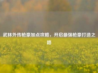 武林外传枪豪加点攻略，开启最强枪豪打造之路