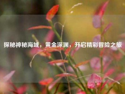 探秘神秘海域，黄金深渊，开启精彩冒险之旅