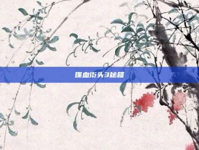 喋血街头3秘籍