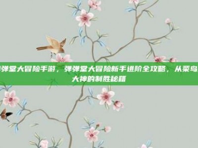 弹弹堂大冒险手游，弹弹堂大冒险新手进阶全攻略，从菜鸟到大神的制胜秘籍