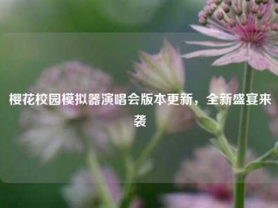 樱花校园模拟器演唱会版本更新，全新盛宴来袭