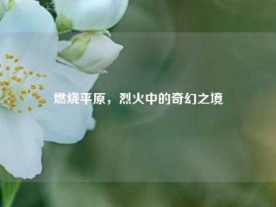 燃烧平原，烈火中的奇幻之境