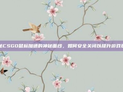 揭秘CSGO鼠标加速的神秘面纱，如何安全关闭以提升游戏表现