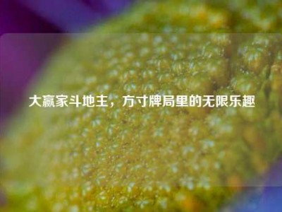 大赢家斗地主，方寸牌局里的无限乐趣