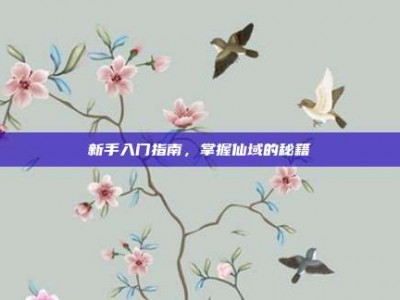 新手入门指南，掌握仙域的秘籍
