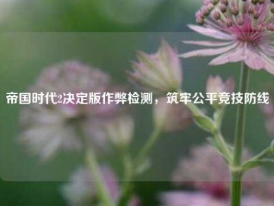 帝国时代2决定版作弊检测，筑牢公平竞技防线