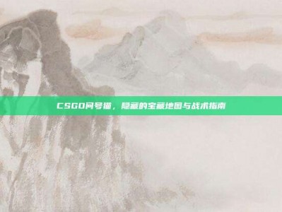 CSGO问号猫，隐藏的宝藏地图与战术指南