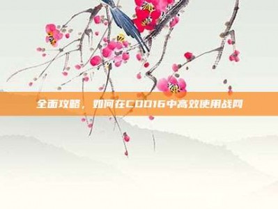 全面攻略，如何在COD16中高效使用战网