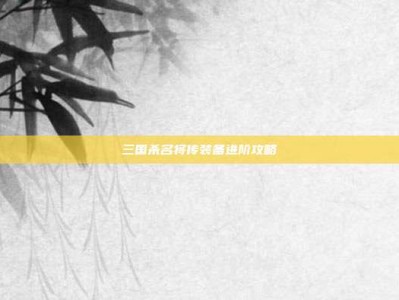 三国杀名将传装备进阶攻略