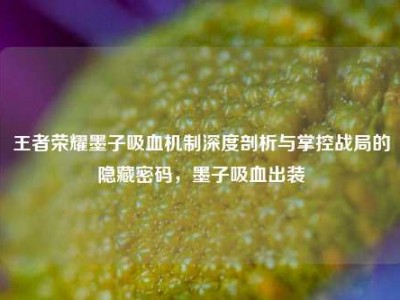 王者荣耀墨子吸血机制深度剖析与掌控战局的隐藏密码，墨子吸血出装