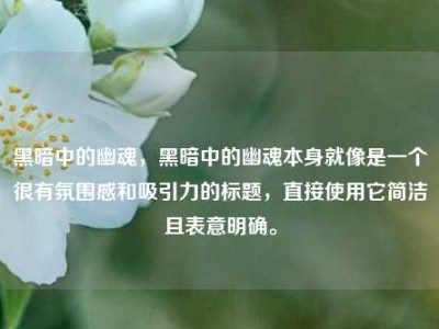 黑暗中的幽魂，黑暗中的幽魂本身就像是一个很有氛围感和吸引力的标题，直接使用它简洁且表意明确。