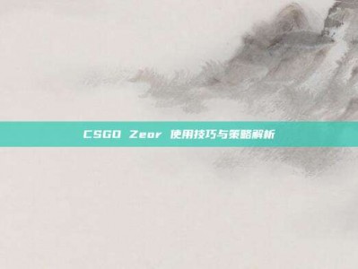 CSGO Zeor 使用技巧与策略解析