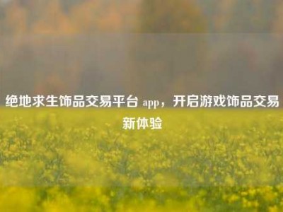 绝地求生饰品交易平台 app，开启游戏饰品交易新体验
