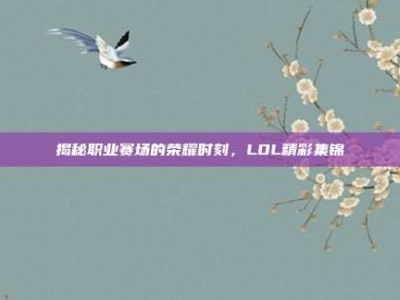 揭秘职业赛场的荣耀时刻，LOL精彩集锦