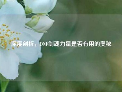 深度剖析，DNF剑魂力量是否有用的奥秘