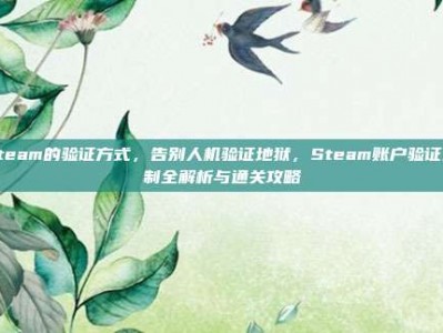 steam的验证方式，告别人机验证地狱，Steam账户验证机制全解析与通关攻略
