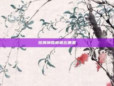 炫舞神兽萌萌在哪里