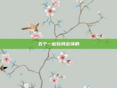 五个一起玩我会坏的