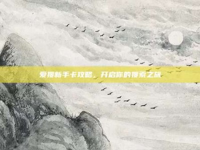 爱搜新手卡攻略，开启你的搜索之旅