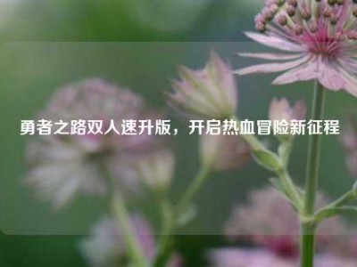 勇者之路双人速升版，开启热血冒险新征程