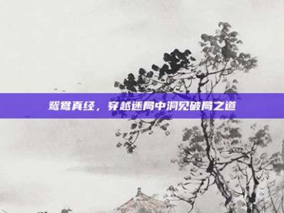 鸳鸯真经，穿越迷局中洞见破局之道