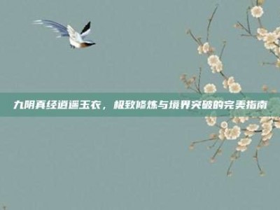 九阴真经逍遥玉衣，极致修炼与境界突破的完美指南