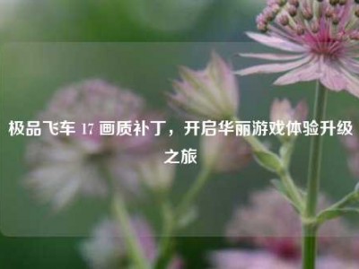 极品飞车 17 画质补丁，开启华丽游戏体验升级之旅