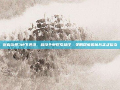 刺客信条3地下通道，解锁全新探索路径，策略深度解析与实战指南