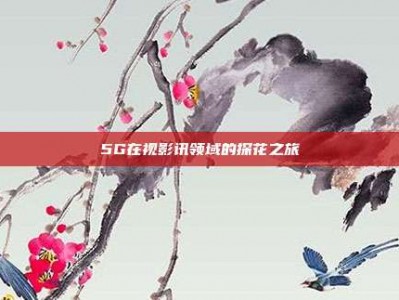 5G在视影讯领域的探花之旅