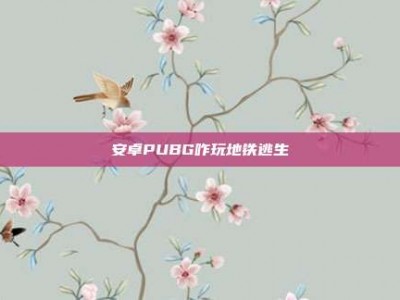 安卓PUBG咋玩地铁逃生