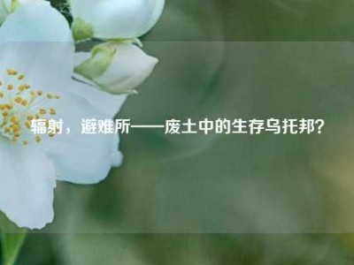 辐射，避难所——废土中的生存乌托邦？