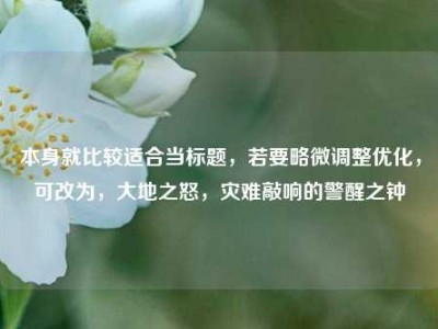 本身就比较适合当标题，若要略微调整优化，可改为，大地之怒，灾难敲响的警醒之钟