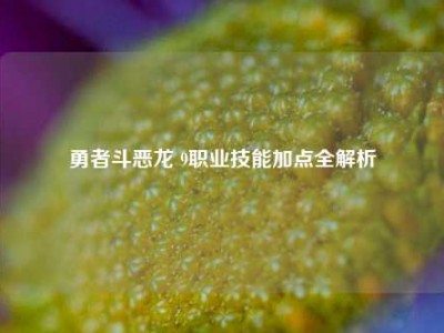 勇者斗恶龙 9职业技能加点全解析