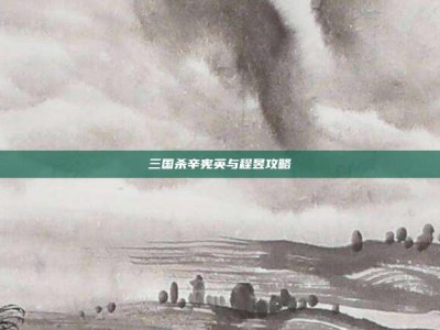 三国杀辛宪英与程昱攻略