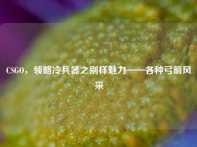 CSGO，领略冷兵器之别样魅力——各种弓箭风采