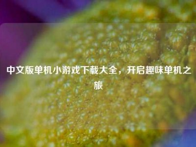 中文版单机小游戏下载大全，开启趣味单机之旅