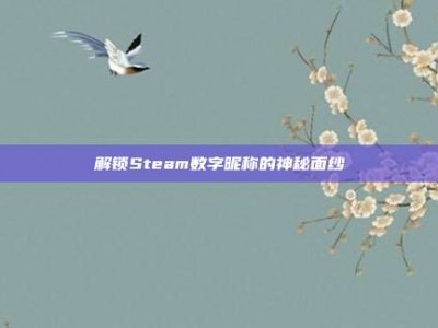 解锁Steam数字昵称的神秘面纱