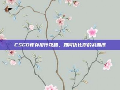 CSGO库存排行攻略，如何优化你的武器库